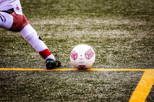 鱼类以及各 鱼类以及各