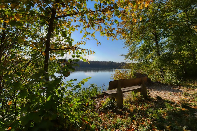 致的恐慌事 致的恐慌事