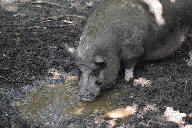 联手发威 联手发威