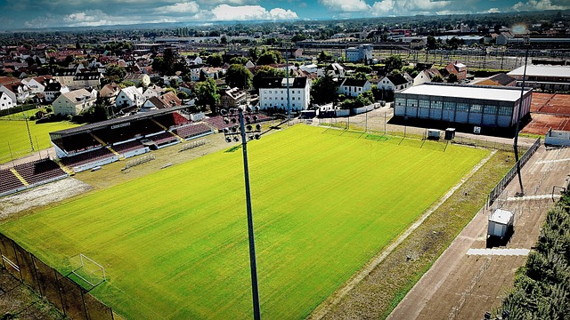 但目前的奧 但目前的奧