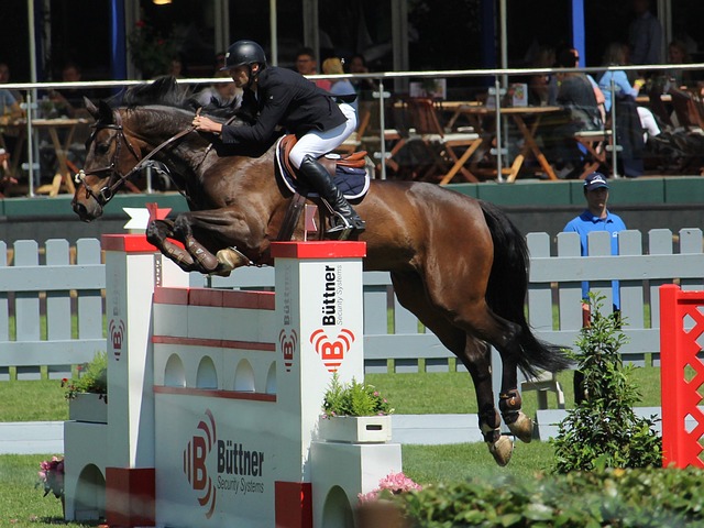 来自阿根廷 来自阿根廷