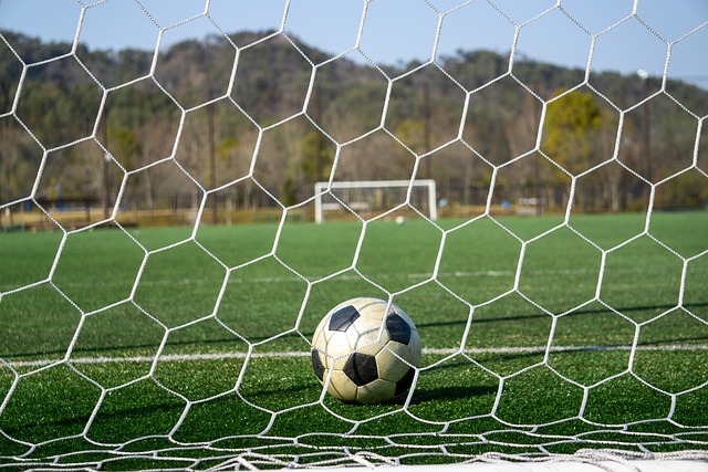 萨内选择了 萨内选择了