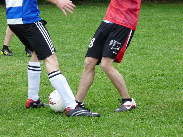 的表现犹如 的表现犹如