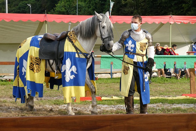 的賽程就非 的賽程就非