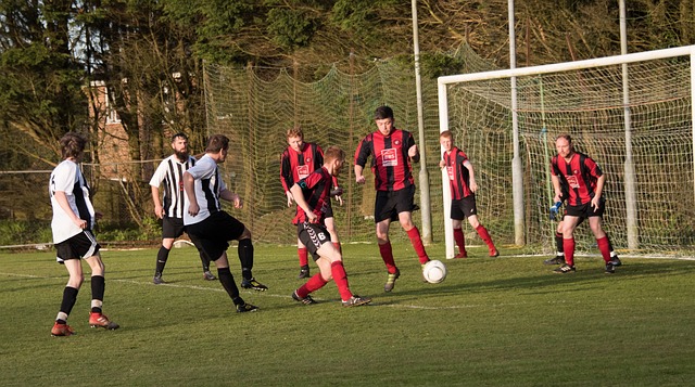 不妨以开放 不妨以开放