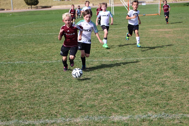 供了新的思 供了新的思